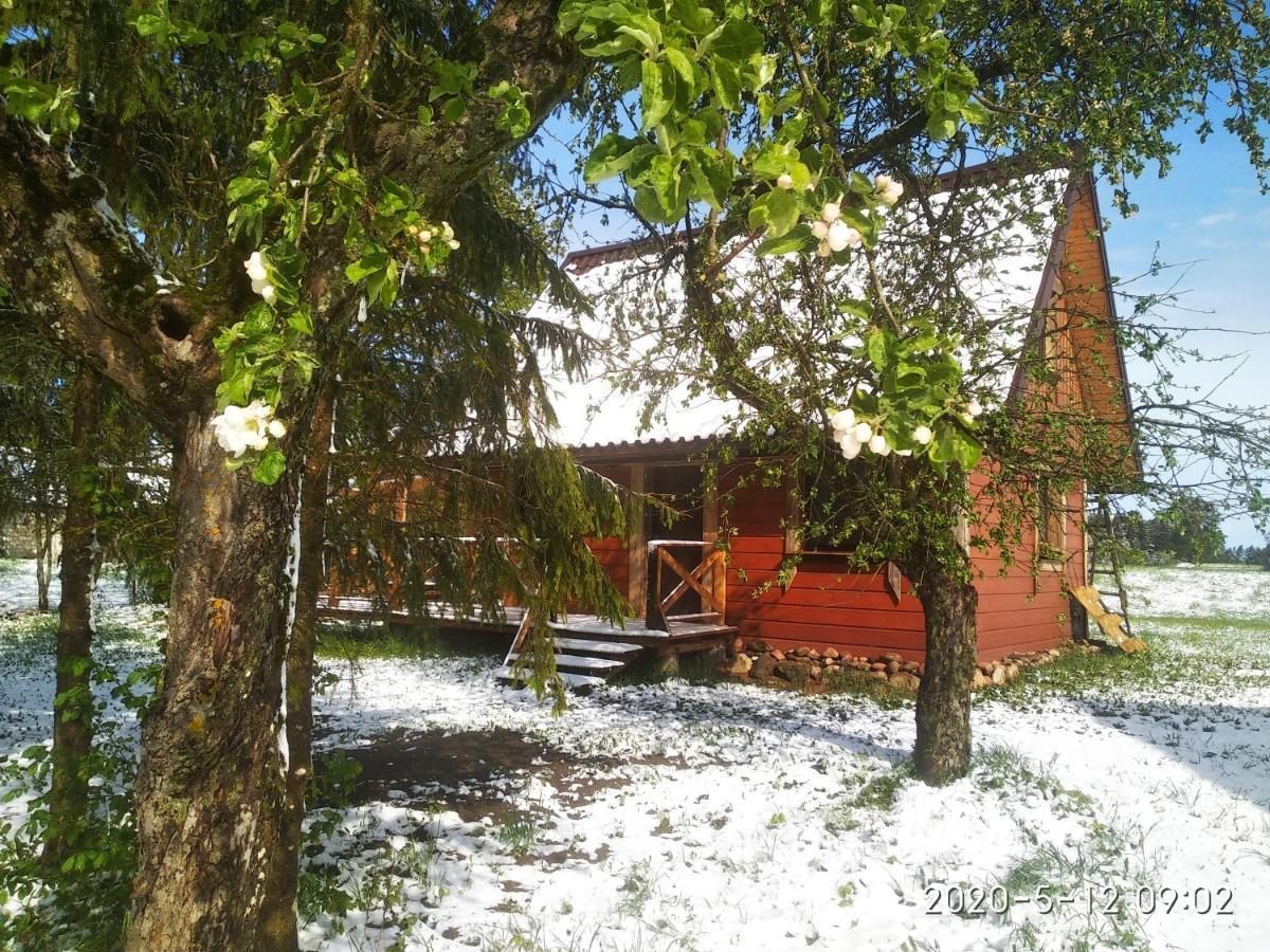 Ekostolarnia Villa Rutka-Tartak Dış mekan fotoğraf